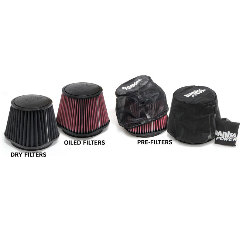 Banks Power 10-12 Dodge 6.7L Ram-Air Intake System - Dry Filter